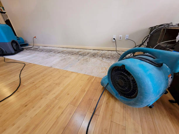 Professional Burst Pipe Water Damage technician working in Caledonia, WI